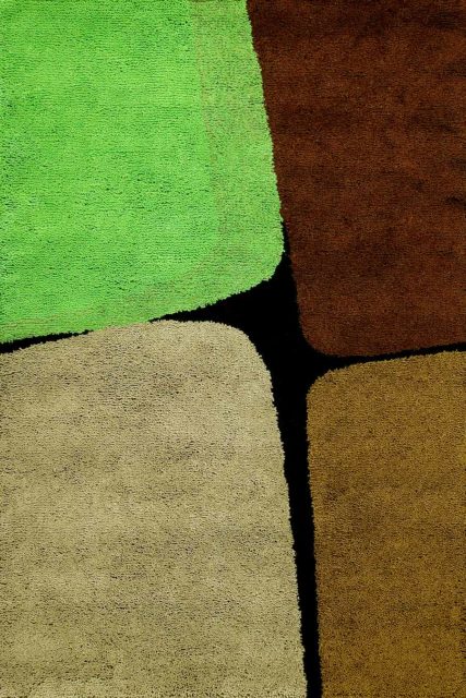 overhead of boulder 2 rug by dinosaur designs green brown