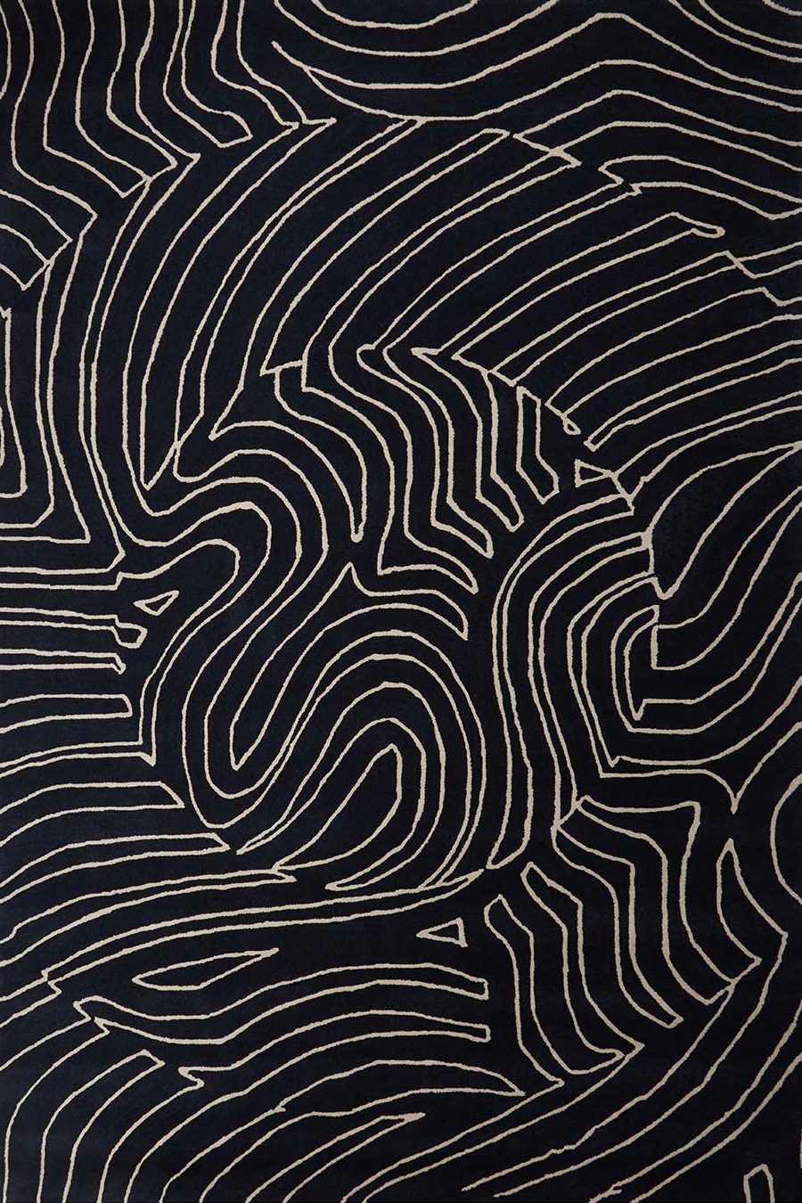 Overhead view of Nautilus rug in black colour